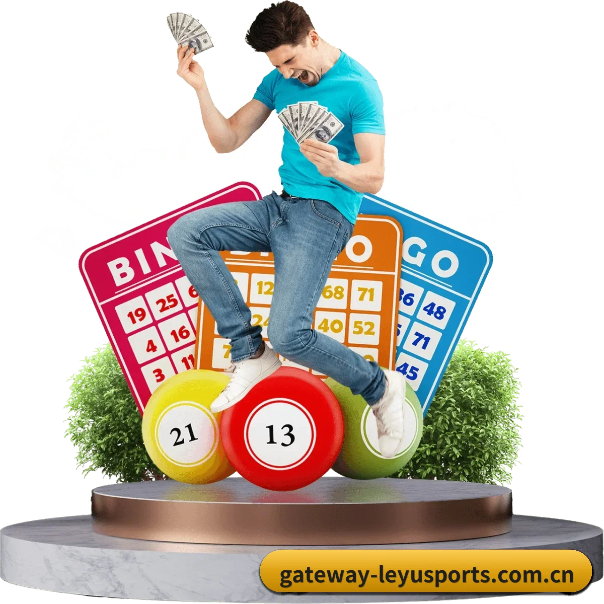 乐鱼 APP 界面